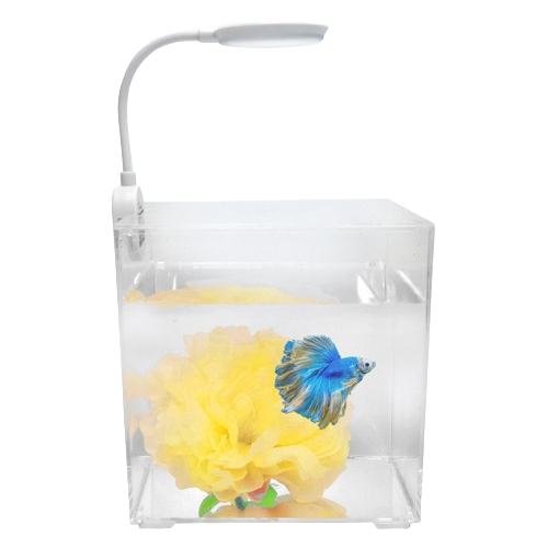 칸후아쿠아리움 블링블링 베타 어항 꽃 침대 세트 10,800원