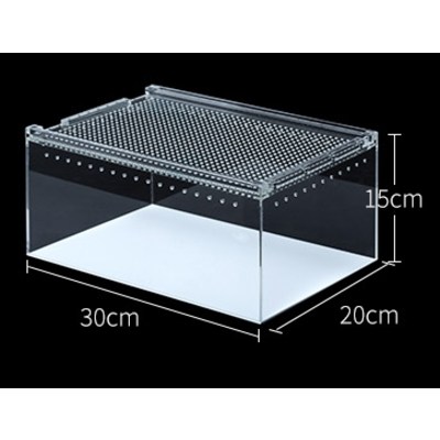 렙티주 파충류 아크릴케이스 30*20*15cm ACR01 49,500원