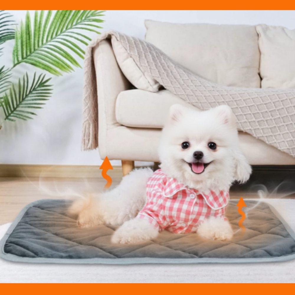 다잇대 포근폭신 강아지 겨울 온열매트 14,900원