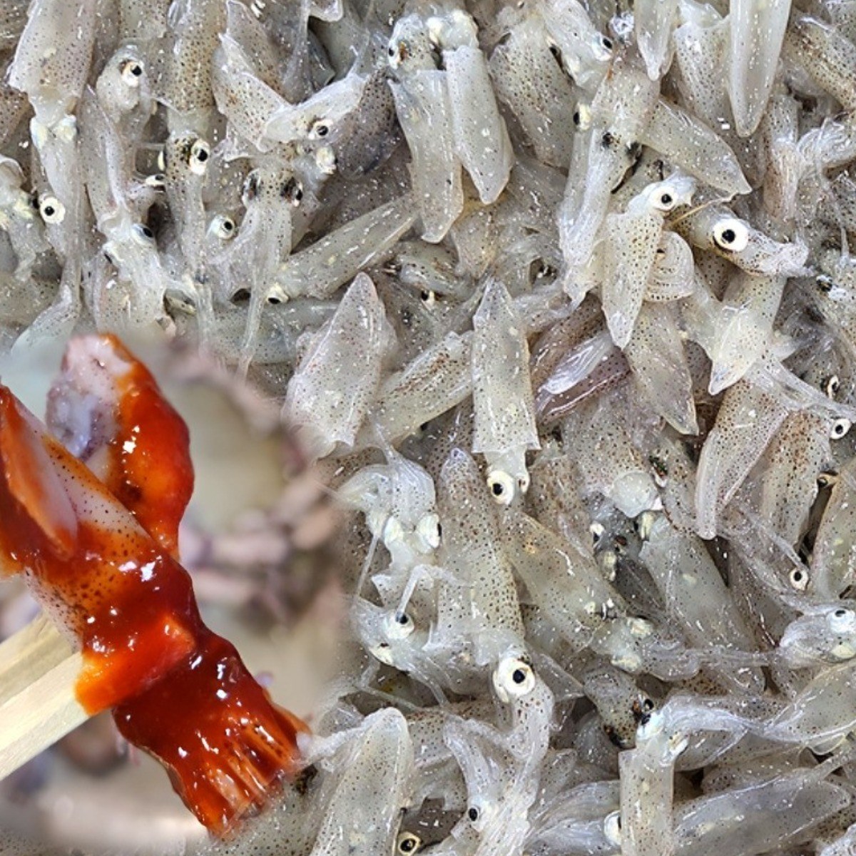 국내산 자연산 별미 제철 호래기 꼴뚜기 12,500원