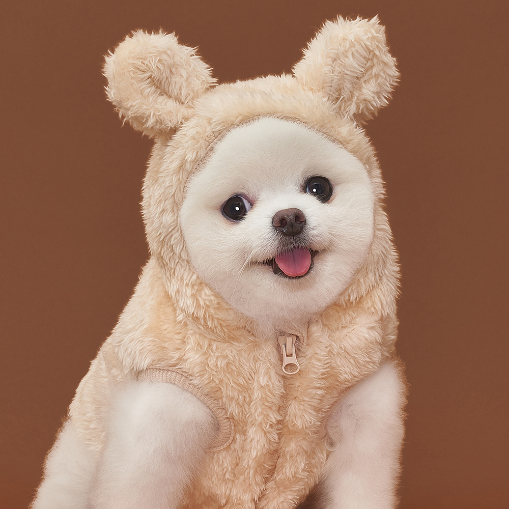 도그아이 반려동물 곰 후드 베스트 8,900원