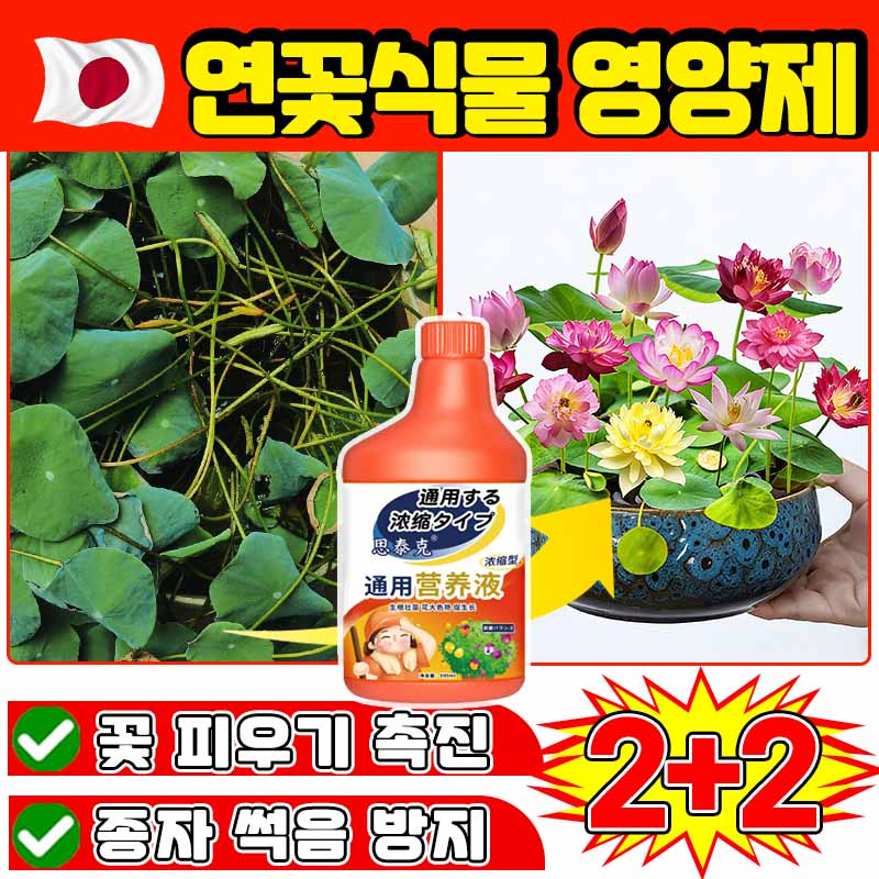 [꽃 폭발!] 수련 연꽃 영양제 미니 연꽃 씨앗 수경식물 식물 영양제 화분 영양제 개화촉진제 꽃 식물 토양 영양제 사은품 랜덤증정 25,800원