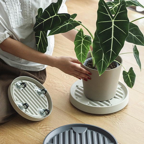 모리앤 바퀴가 숨어있는 과습방지형 이동식 화분 받침대 8Size 2Color 12,400원