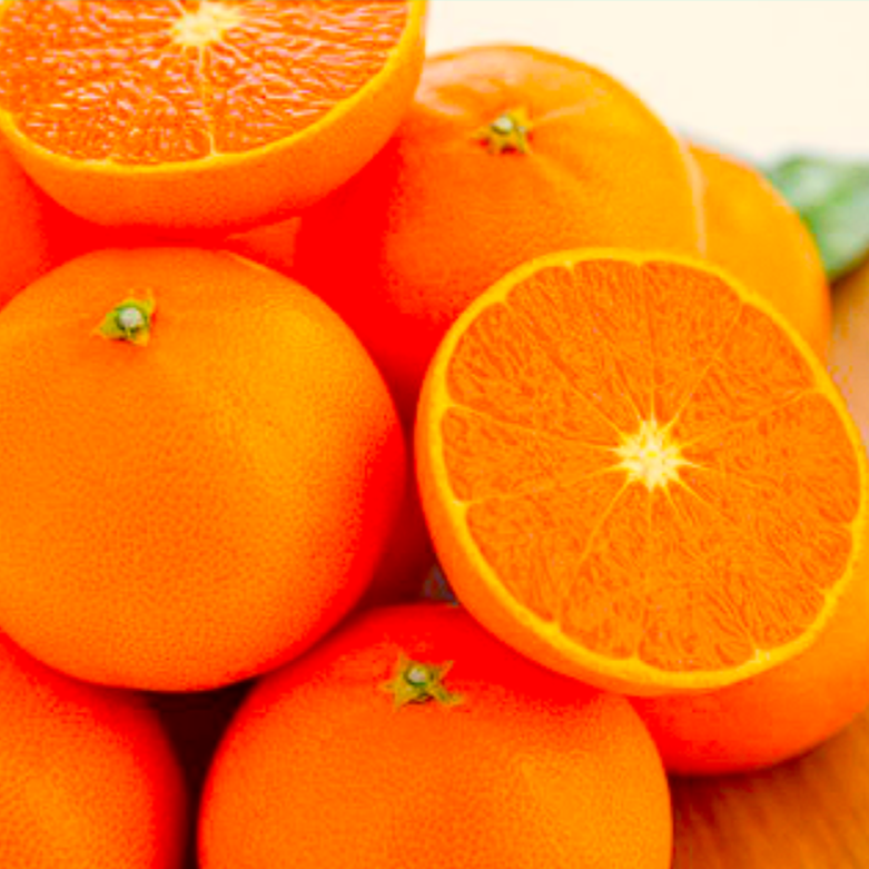 한정특가 16brix 당도선별 상큼달콤 제주 천혜향 14,800원