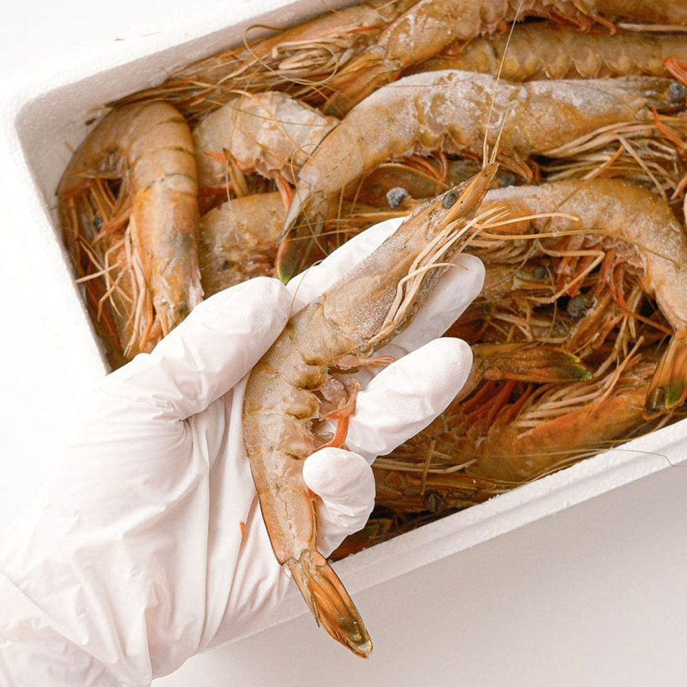 국내산 자연산 대하 1kg, 1개, 2kg 57,000원