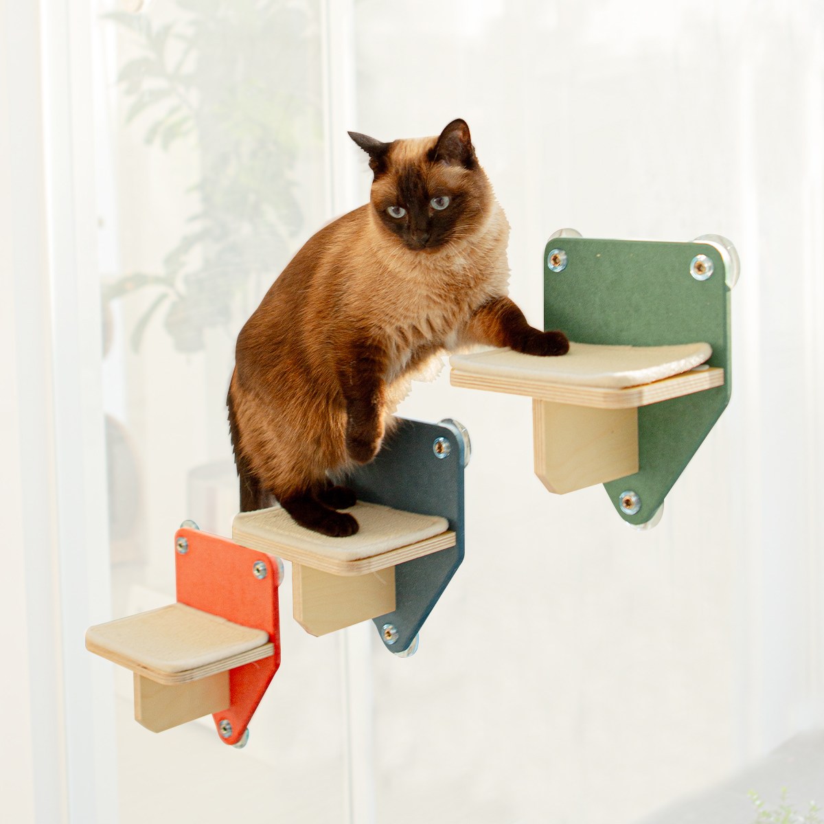 (2+1) 무지개냥 미니 캣워크 고양이 스텝 선반 계단 캣워커 96,000원