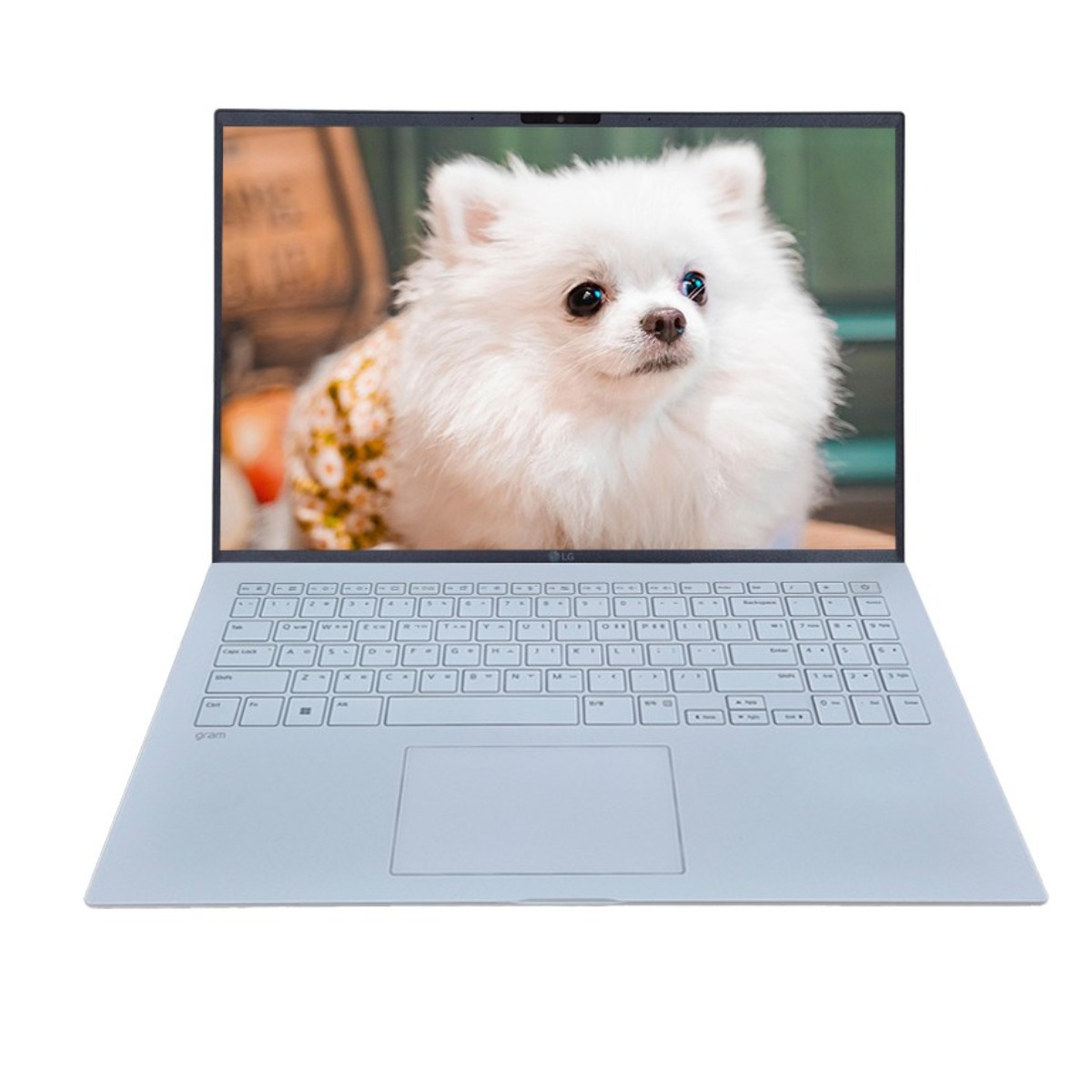 LG전자 2026 그램 AI 15 라이젠 AI 400 시리즈 방문설치 1,569,000원