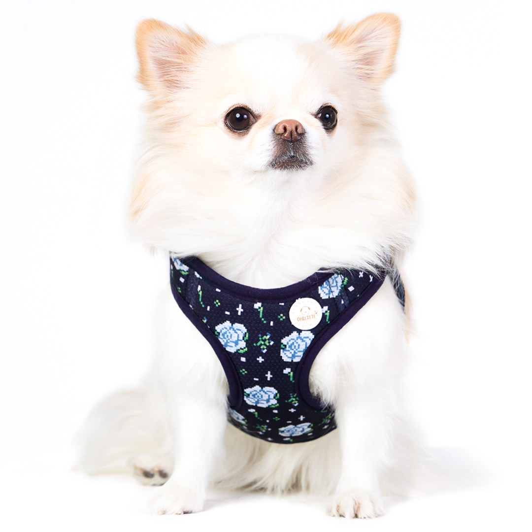 아띠지기 강아지 초경량 관절 보호 X형 에어리 하네스, 1개, 장미 16,900원