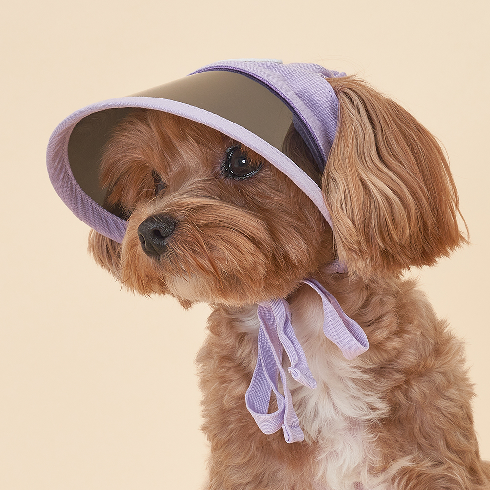 도그아이 반려동물용  썬캡 10,900원