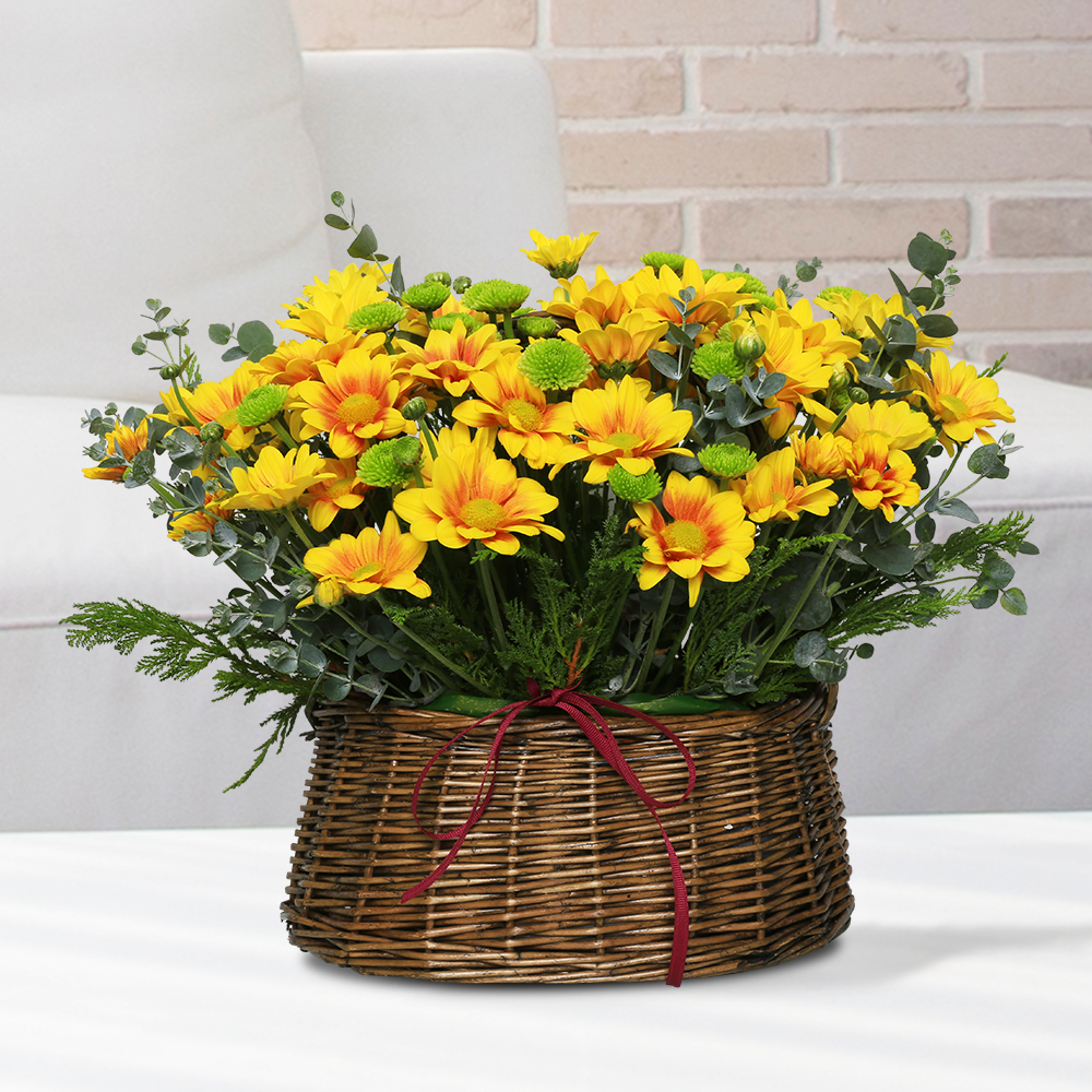 꽃배달 BEST 1위 : 노란소국 a-0268 (전국당일배송) 기념일 꽃선물 생화, 1개 57,800원