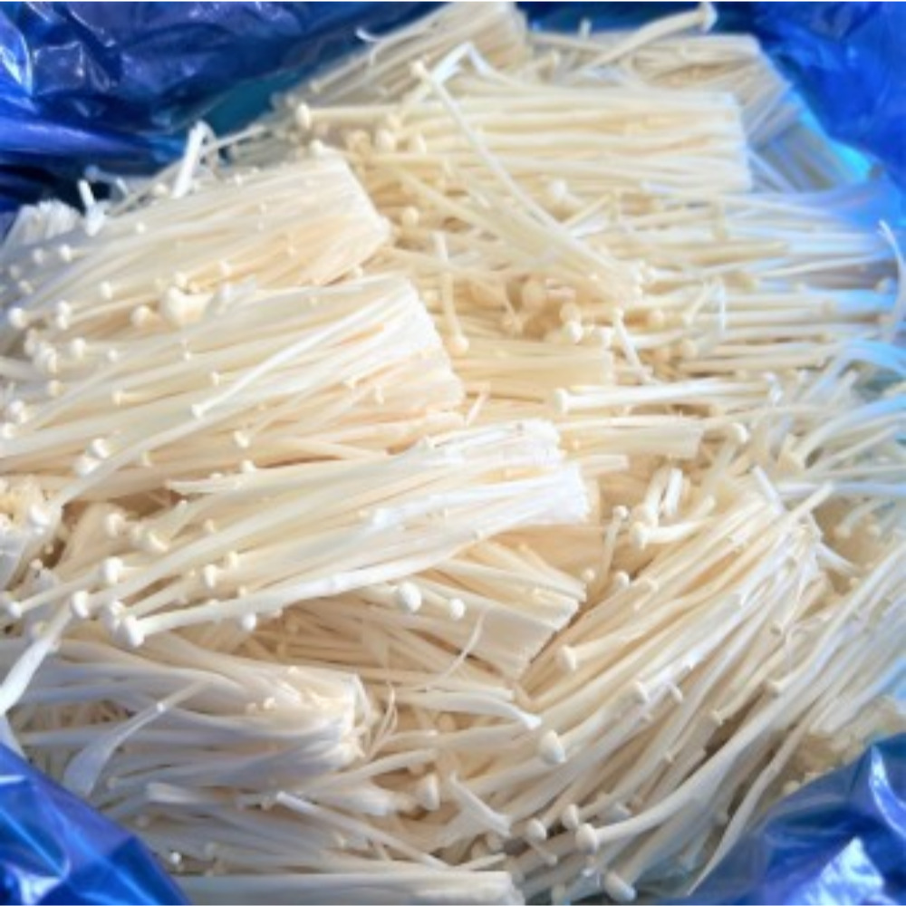 기찬드림 유기농 벌크 팽이버섯 2kg 4kg 6kg 8kg 10kg 15,800원