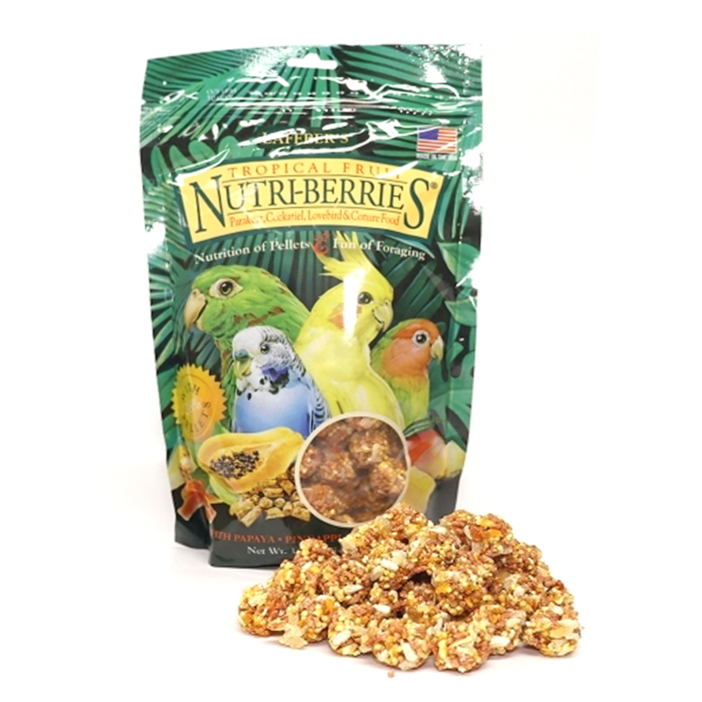 라페버스 비타민 과일 라페볼 조류 사료 간식, 284g, 1개 29,500원