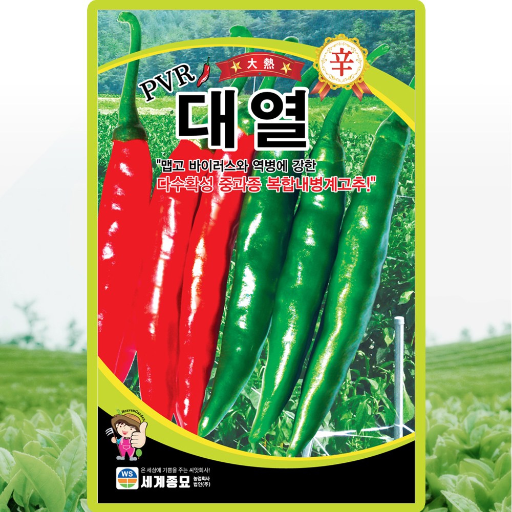 세계종묘 PVR 대열 청양고추 씨앗 100립 역병 복합내병계 고추씨 종자 10,000원