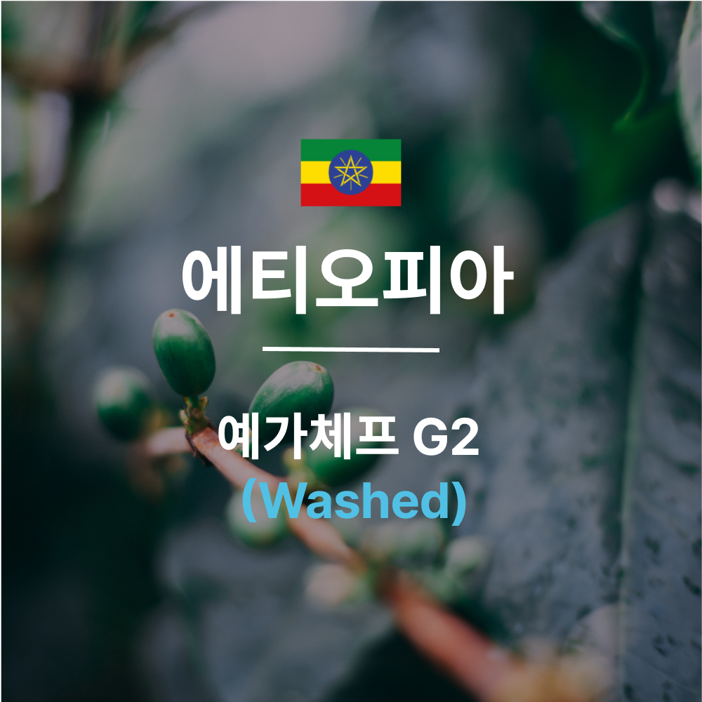 [커피생두] 25크랍 에티오피아 예가체프 G2 워시드 21,990원