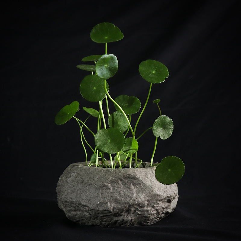 물확 미니 돌수반 어항 돌확 수경재배 모조 카페 조경 21,100원