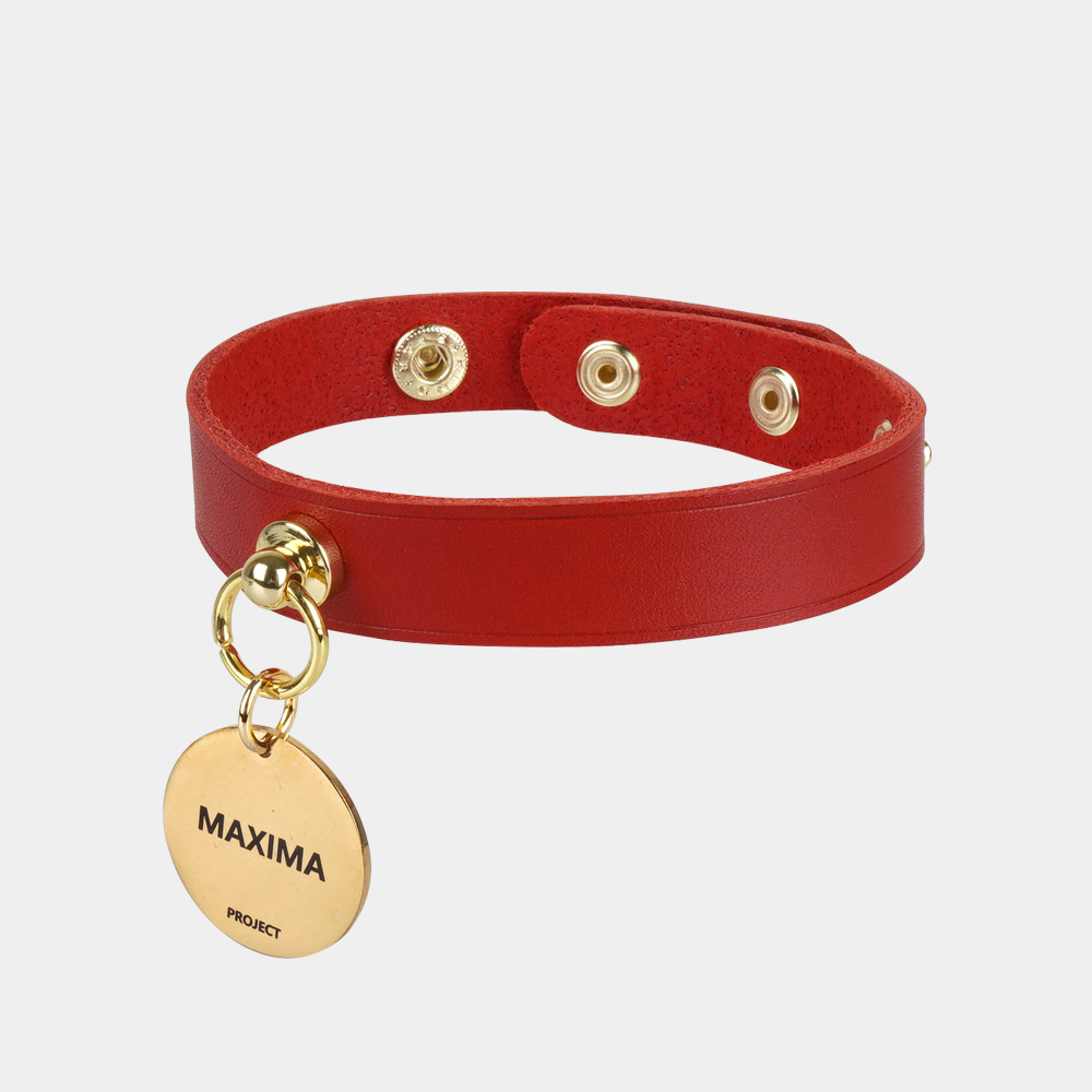 MX PET 베지터블 가죽 초커 목걸이 338X RED 강아지 고양이, 1개, 레드/골드 32,900원