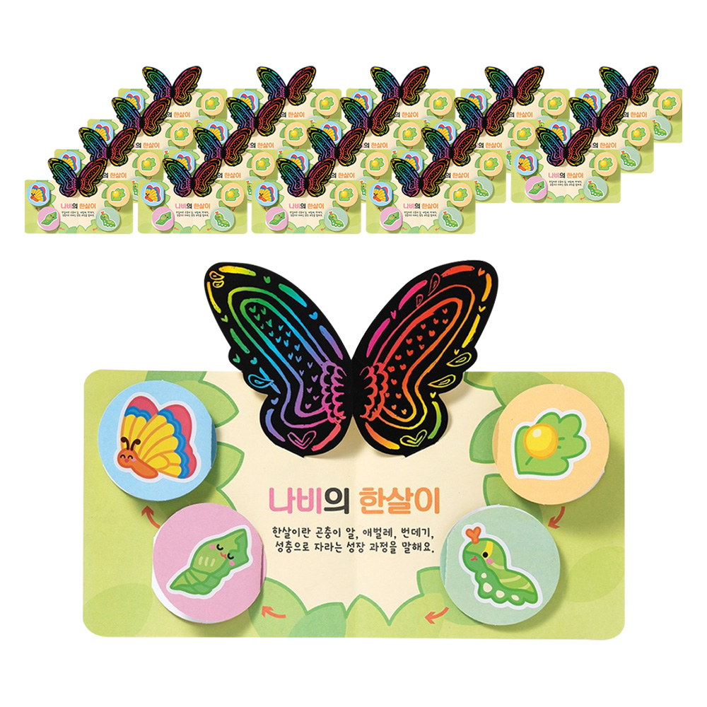 민화샵 나비 한살이 북아트 만들기 RDPPP0510, 혼합색상, 10세트 21,600원