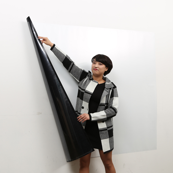 PET 보드시트지 + 밀대 + 지우개 59,480원