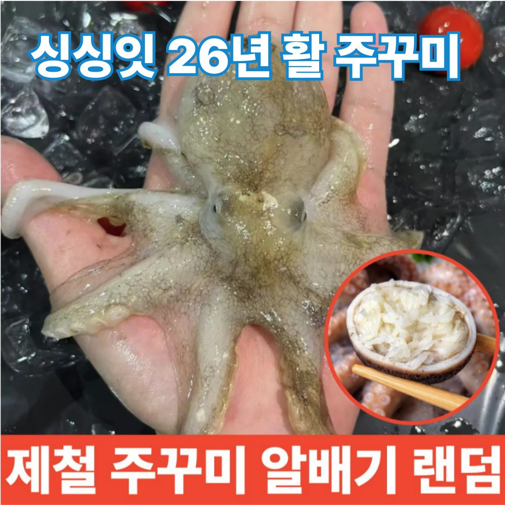 활주꾸미 활쭈꾸미 생물주꾸미 쭈꾸미 산지직송, 1개, 국내산 활주꾸미 1kg 36,800원
