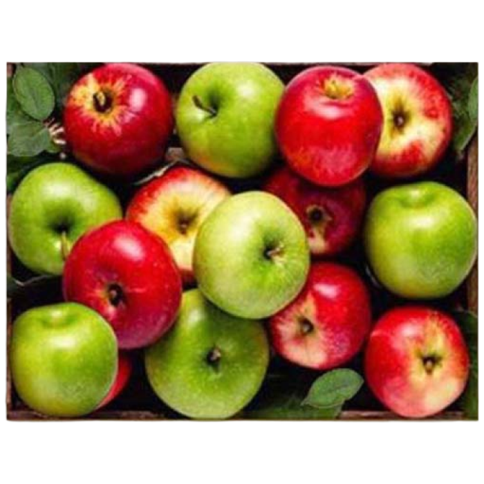 엠제이에스 명화그리기 50x40cm (캔버스형) DIY 유화 세트, KK16 - 금전 홍청 사과들, 1개 15,450원