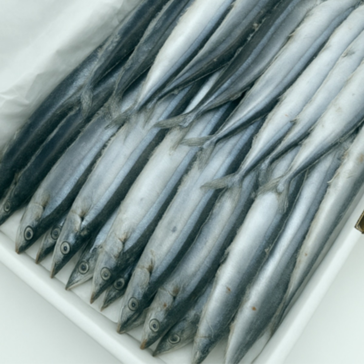 냉동 꽁치 총 9kg 2번 내외 대용량 벌크 업소용 식당용 구이용 반찬 조림 59,000원