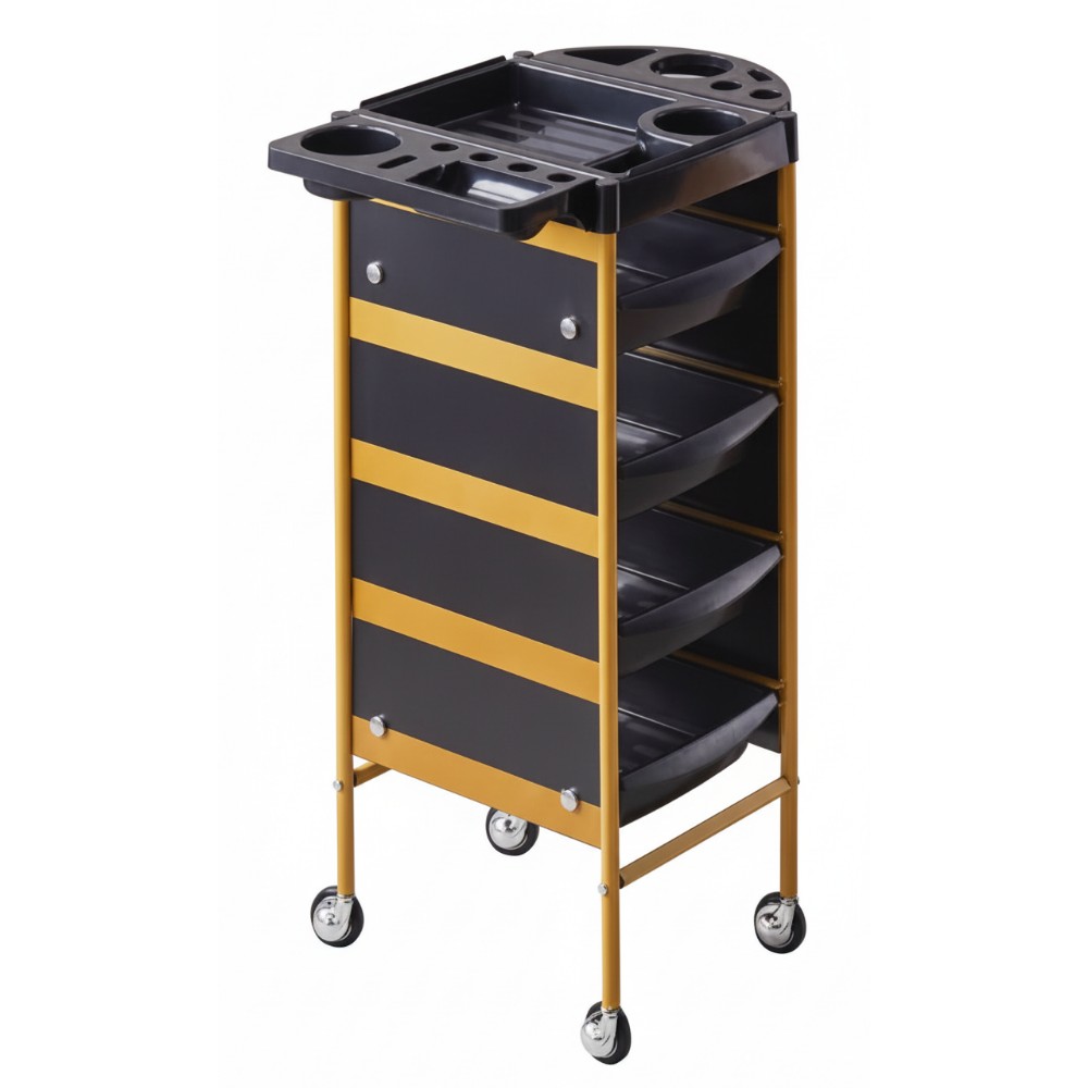 미용실 츄레이 트레이 뷰티 미용 카트 트롤리 세트대 이동식 추레이 정리함, 골드, 5단 58,800원