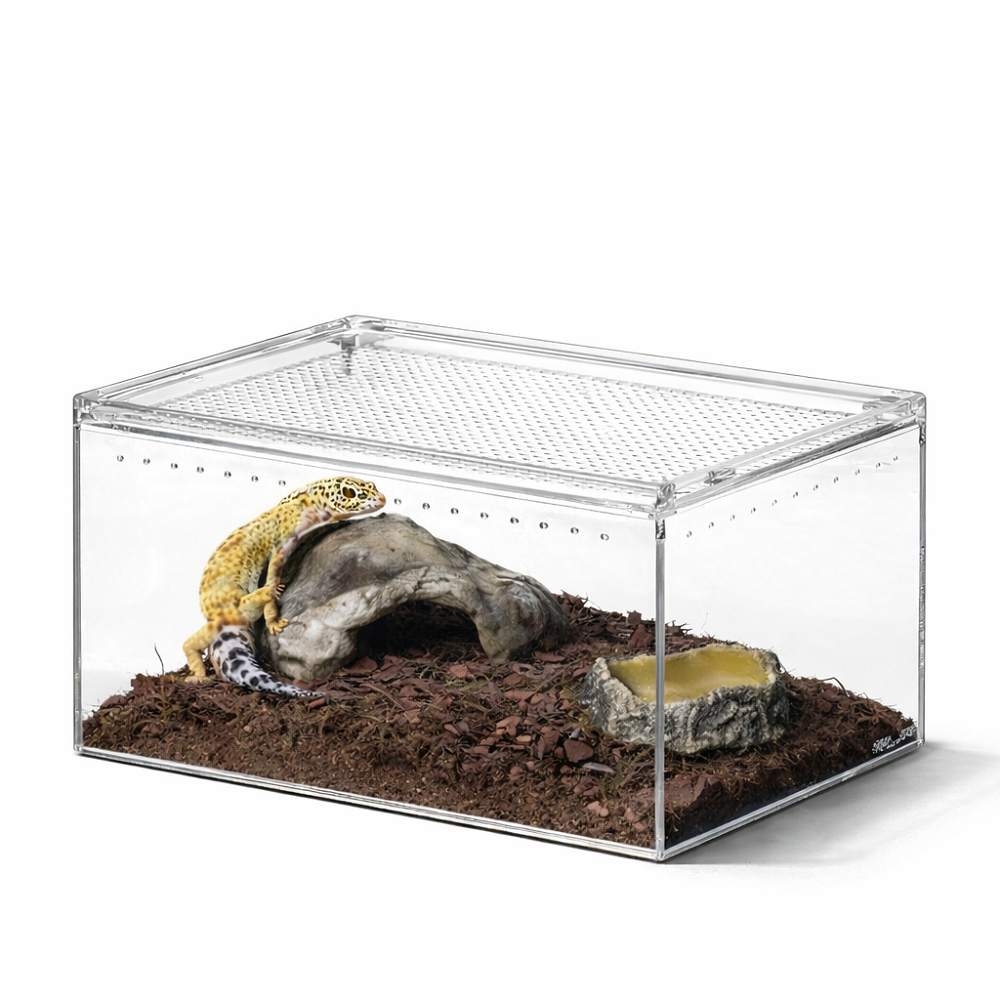 렙티주 파충류 아크릴케이스 30*20*15cm ACR01, 현재가 49,500원