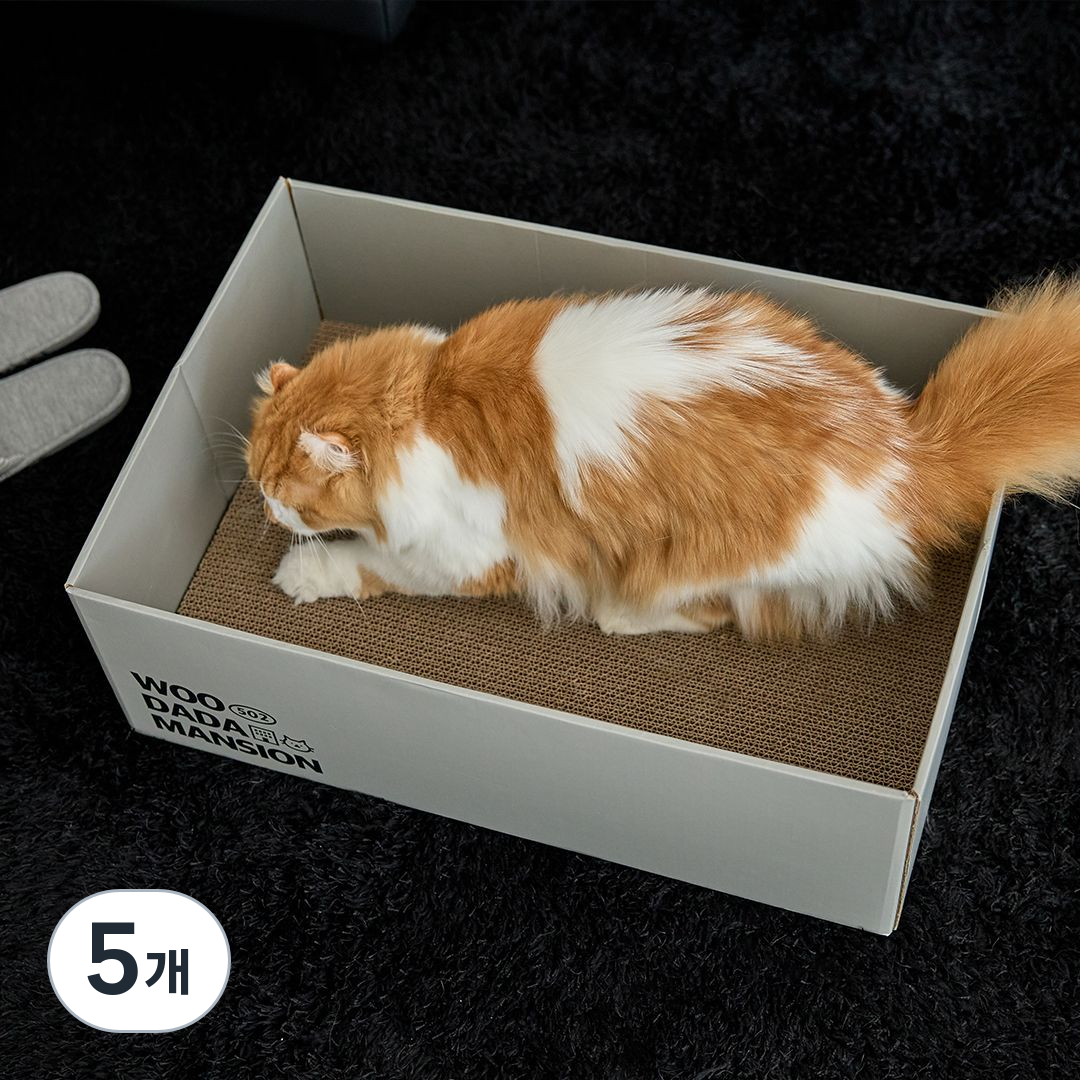 우다다맨숀 특대형 박스 스크래쳐, 웜그레이, 5개 67,800원