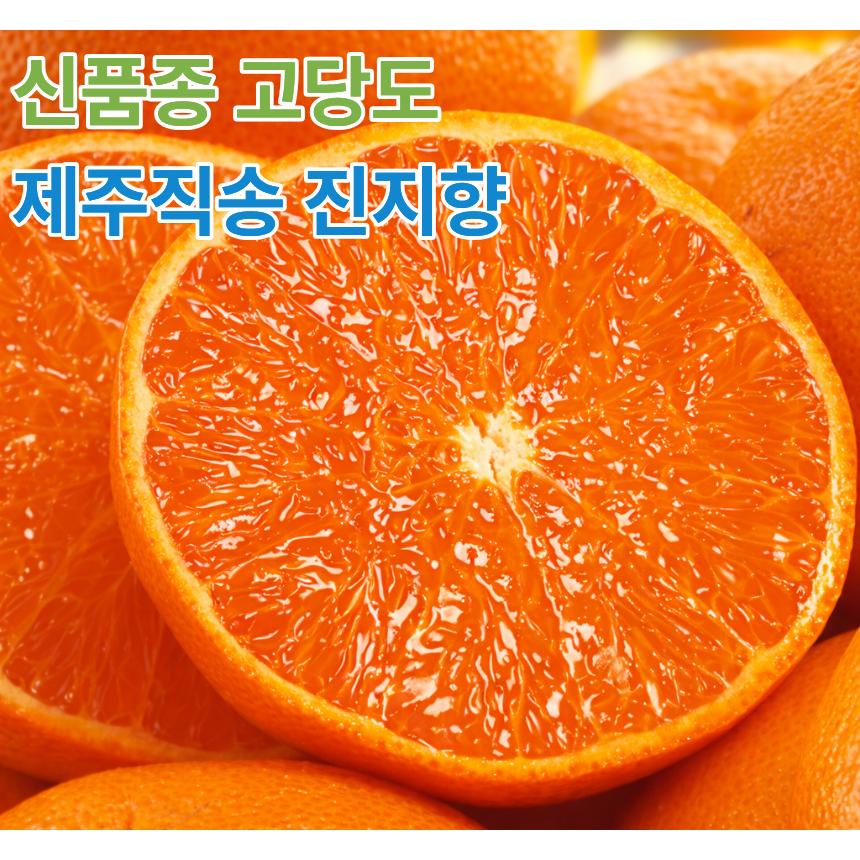 [2주간50%특가] 제주우수농가 최대12brix 초고당도 제주감귤 진지향 16,800원
