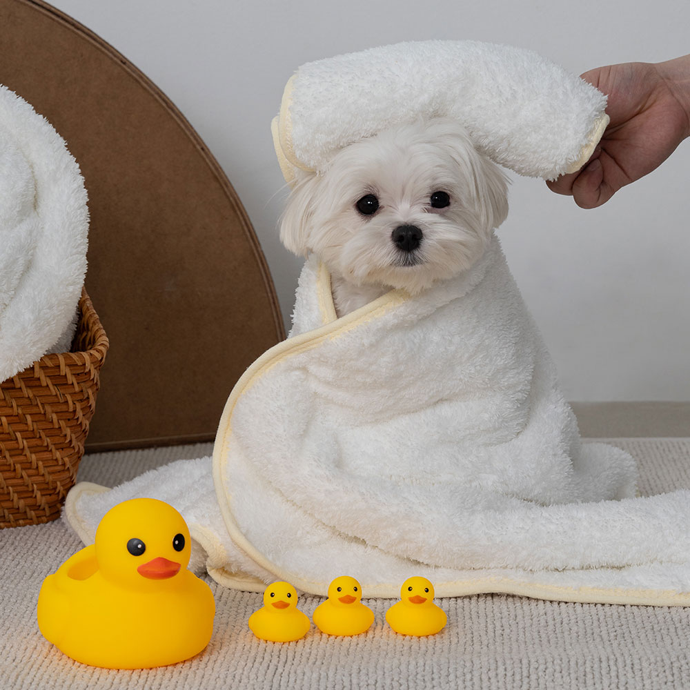 도그아이 반려동물 극세사 자이언트 타올 2종 세트 7,900원