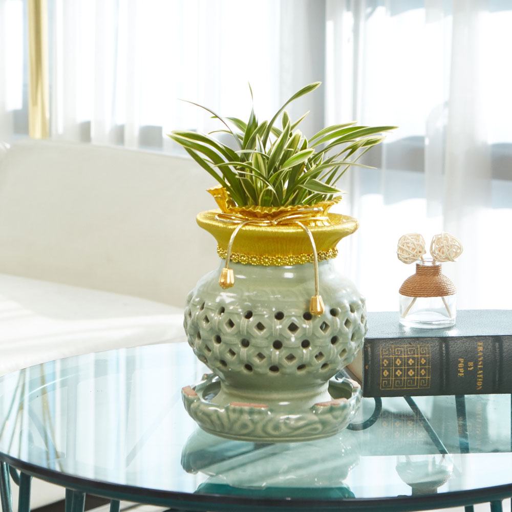 농원청년 동양란 황제 투각분 개업식화분 승진 취임 영전 집들이 개업 이전 축하화분 난배달 75,000원