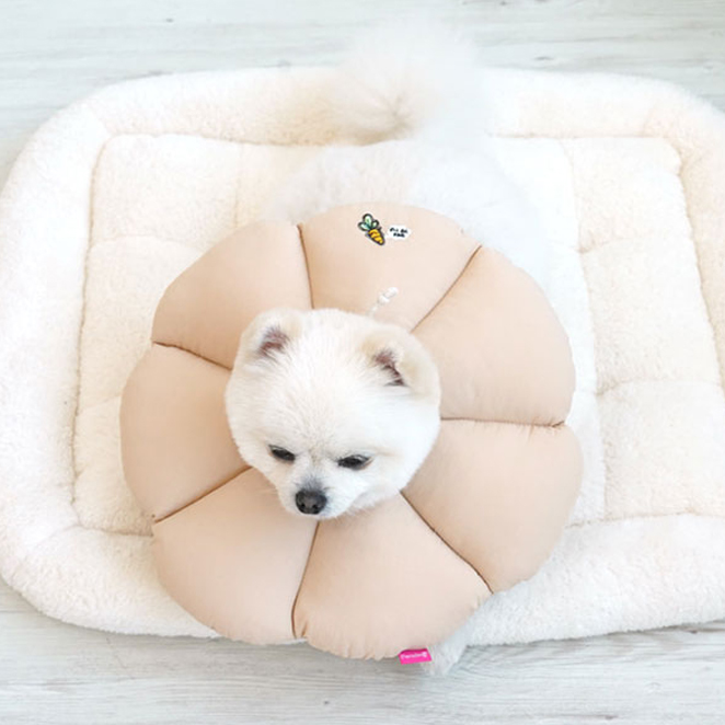 패리스독 반려동물 넥카라쿠션 깔대기 꿀잠카라, 베이지, 1개 11,200원