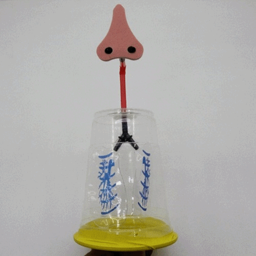 호흡운동(들숨,날숨)실험기 (10인용) 24,000원