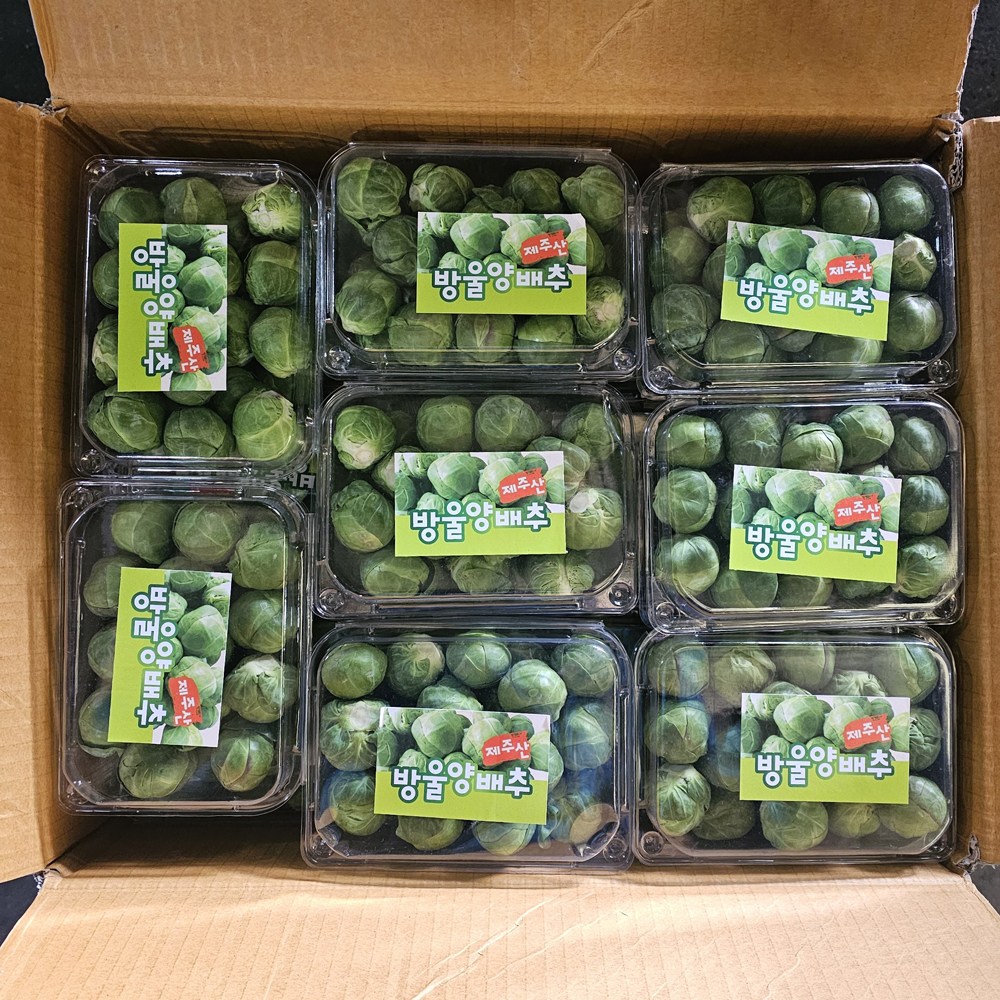 클릭마켓 제주 방울양배추 미니양배추 꼬마양배추 9,110원
