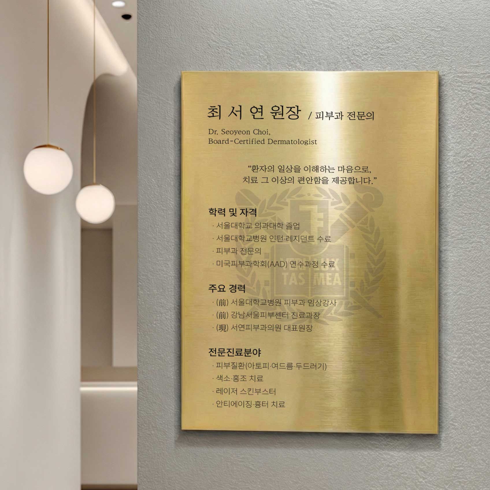 병원 약력 현판 스텐 원장 간판 원장 변호사, 스텐 헤어라인 골드 134,800원