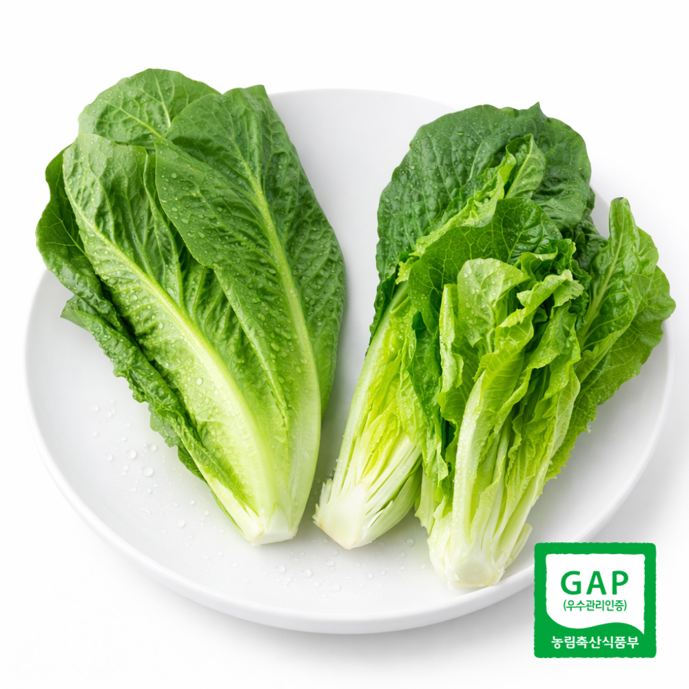 테이블센스 국내산 로메인 상추 통로메인 가락시장 당일경매, 1개, 500g 19,900원