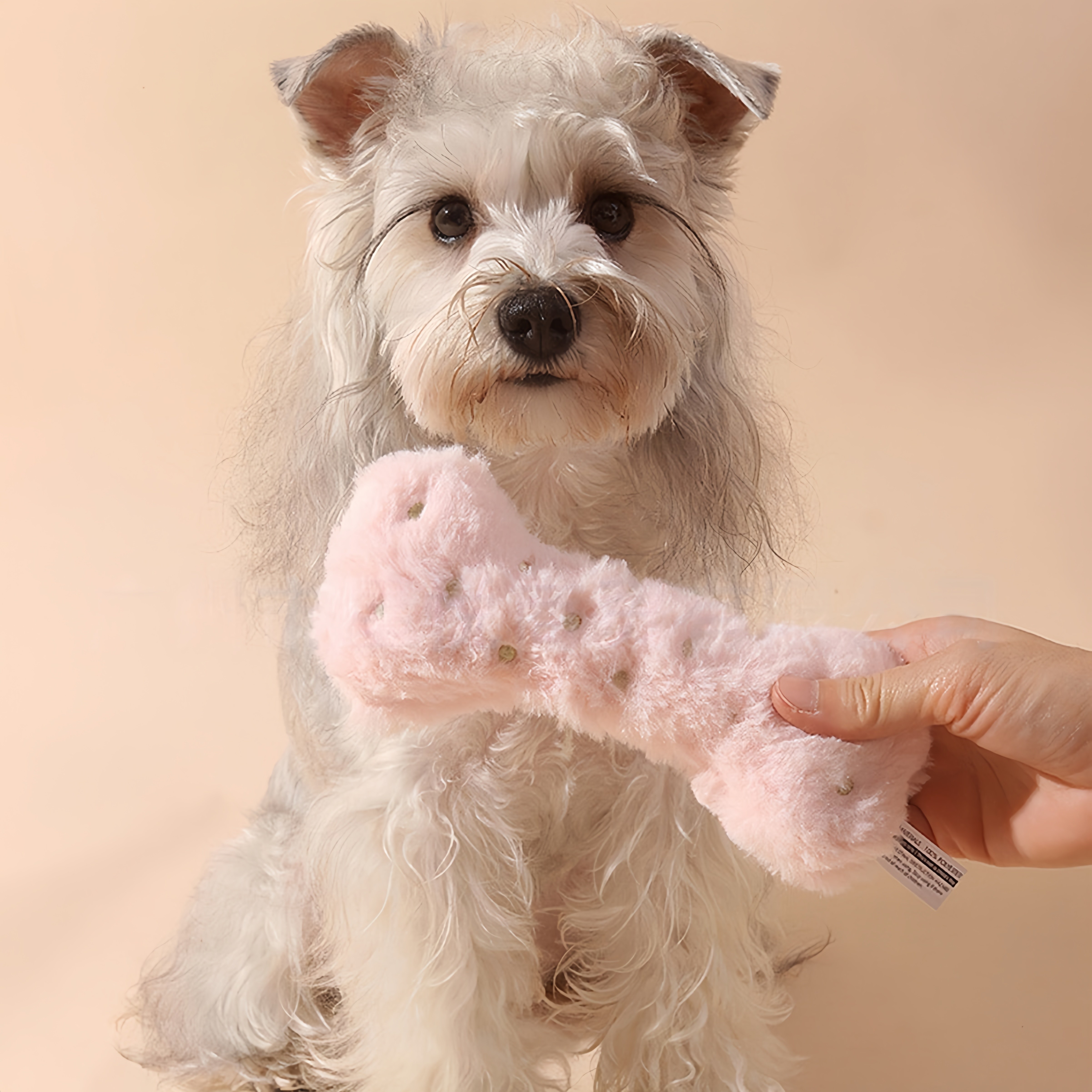 포아틀리에 강아지 봉제 뼈 장난감 BB삑삑이 부드러운 자수 디자인 발렌타인 설날 선물용 소형견 대형견 겸용, 핑크, 1개 8,380원