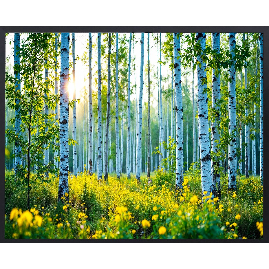 이젤아트 금전운 돈이 들어오는 집들이선물 인테리어 노란꽃 자작나무 그림 액자 17,000원