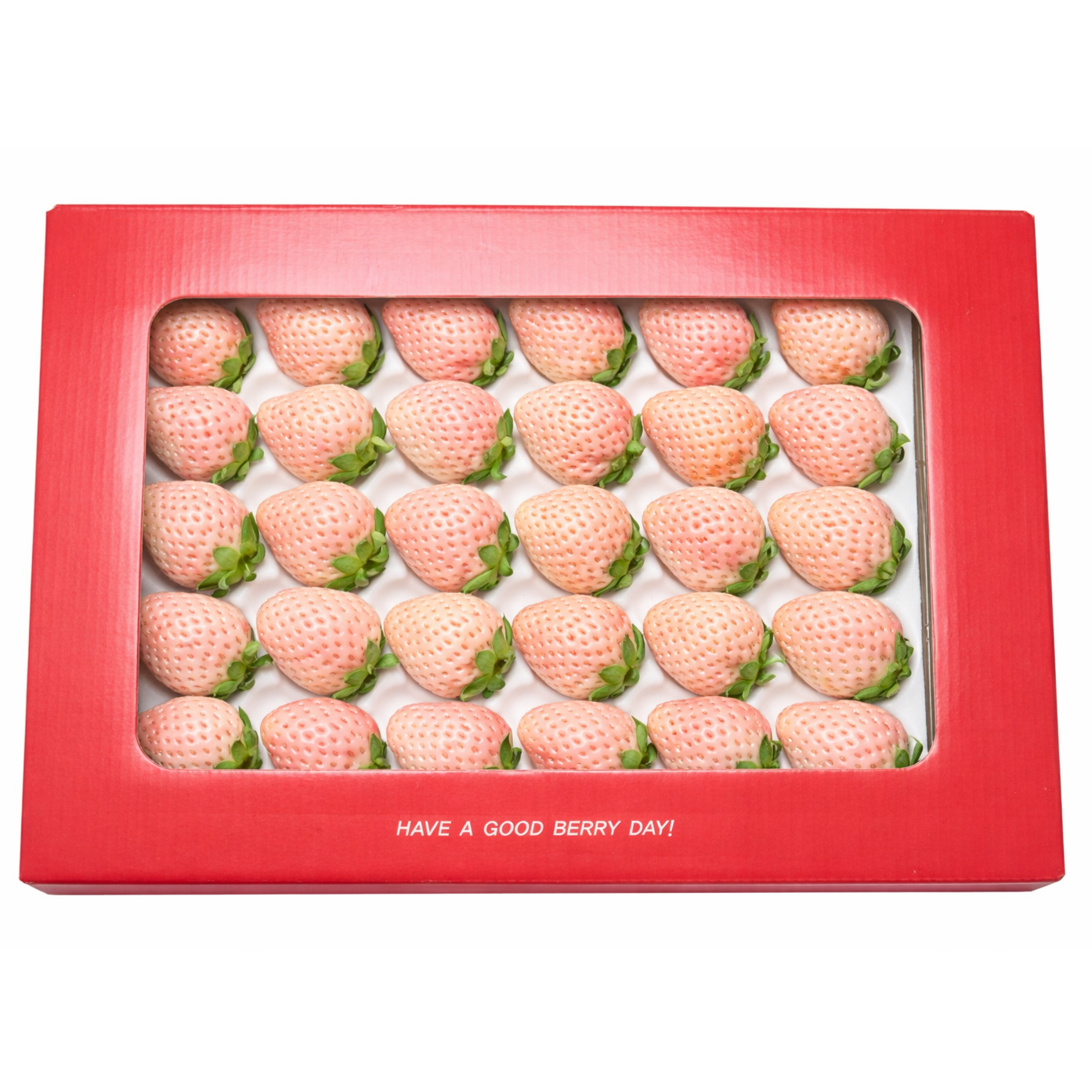 [새벽수확/한정수량] 흰딸기 설화 농가직송 당도보장, 1개, 750g내외 22,000원