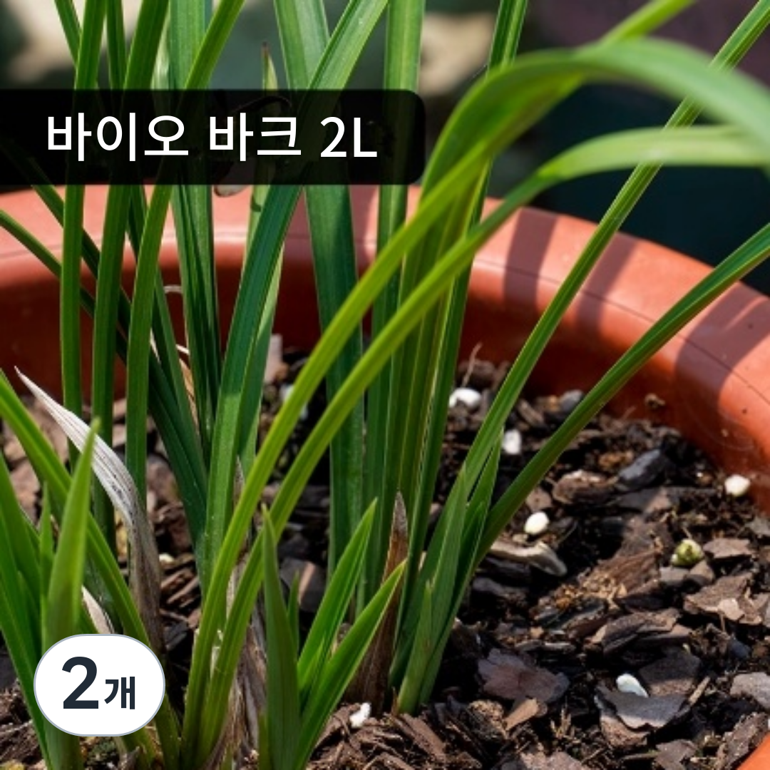 바이오 바크 2L 무공해 용토 동양난 서양난 정원바닥재 화분마감재 제품촬영바크 미술작품 11,700원