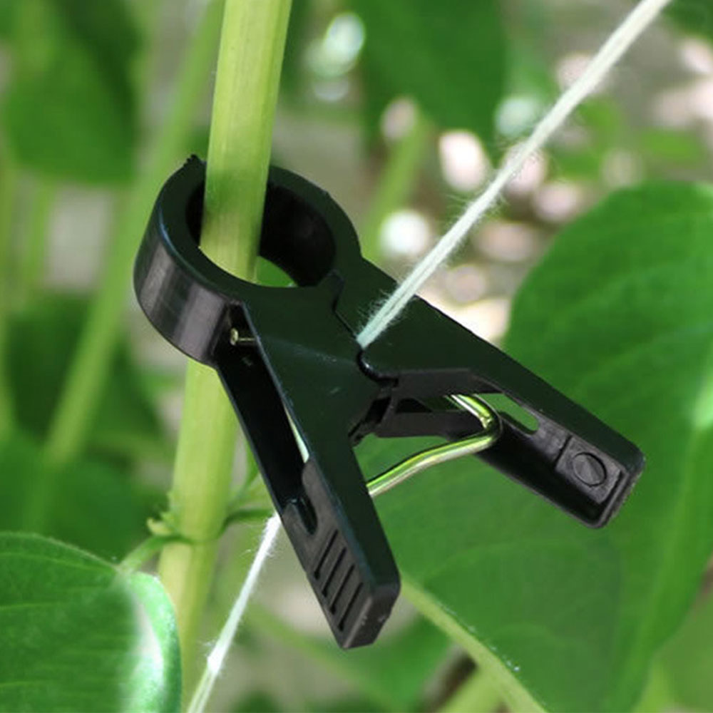 앙플랜트 넓은고리 고추집게 6,890원