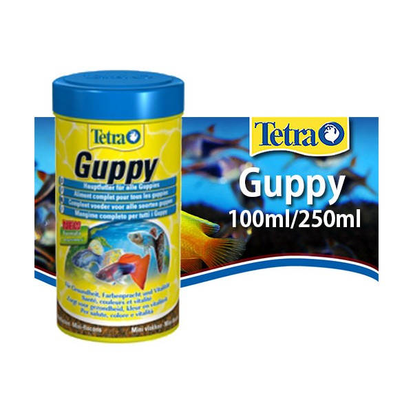 테트라 구피푸드, 250ml, 1개 10,000원