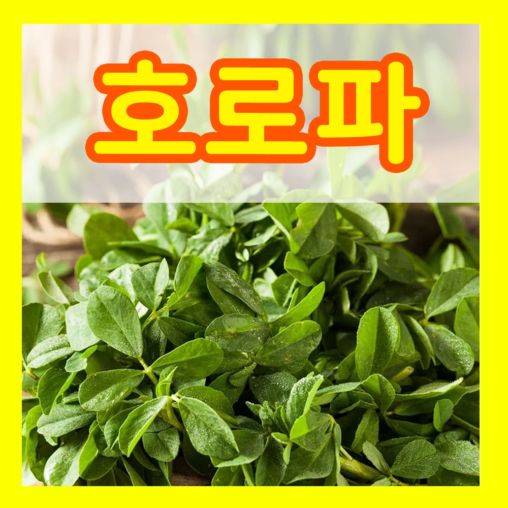 꽃씨몰 꽃씨 봄 파종 여름꽃씨 가을 노지월동 다년생 야생화 양귀비 종자 꽃씨앗 4,000원