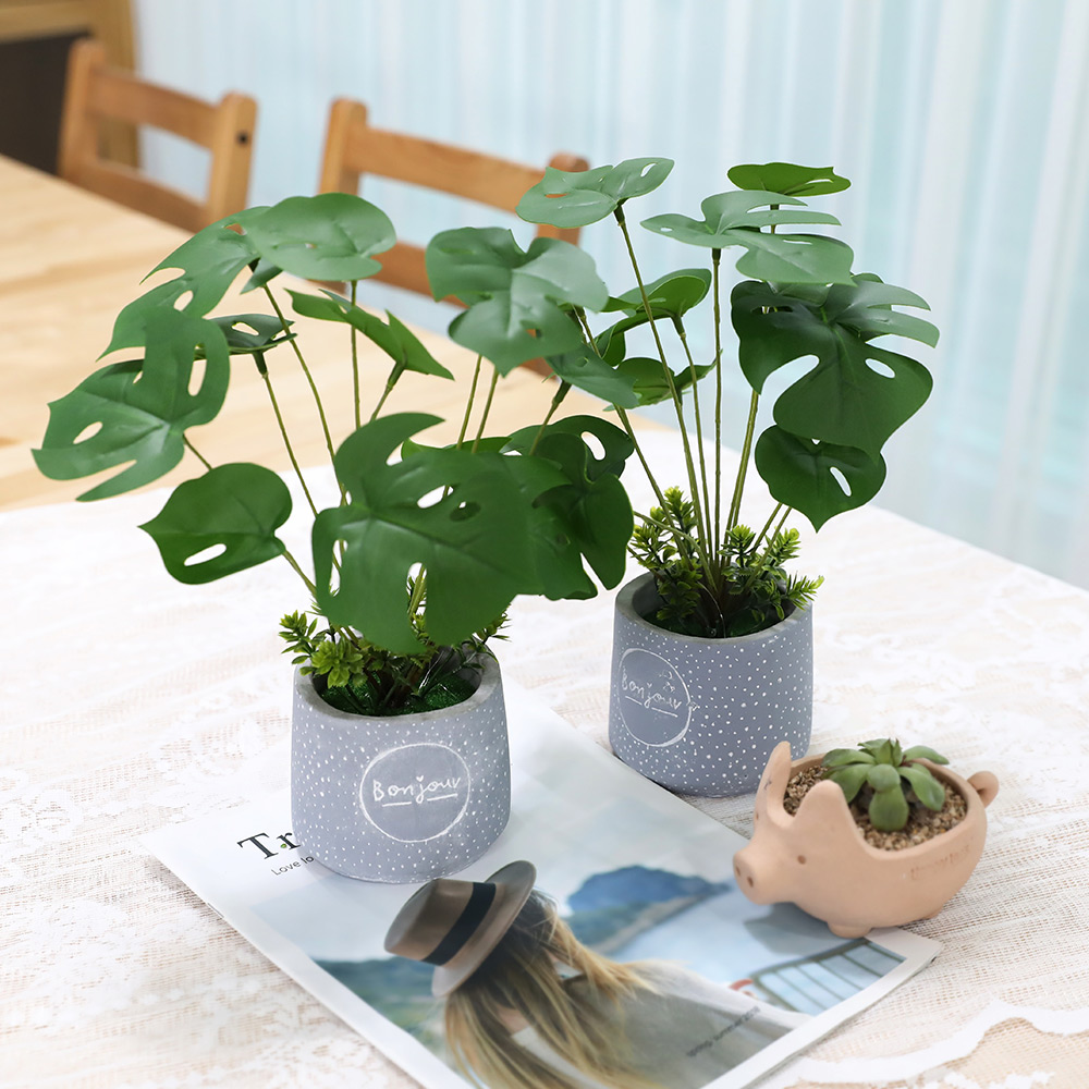 인조나무 인테리어 조화 화분 큐티 몬스테라 2p set 17,900원