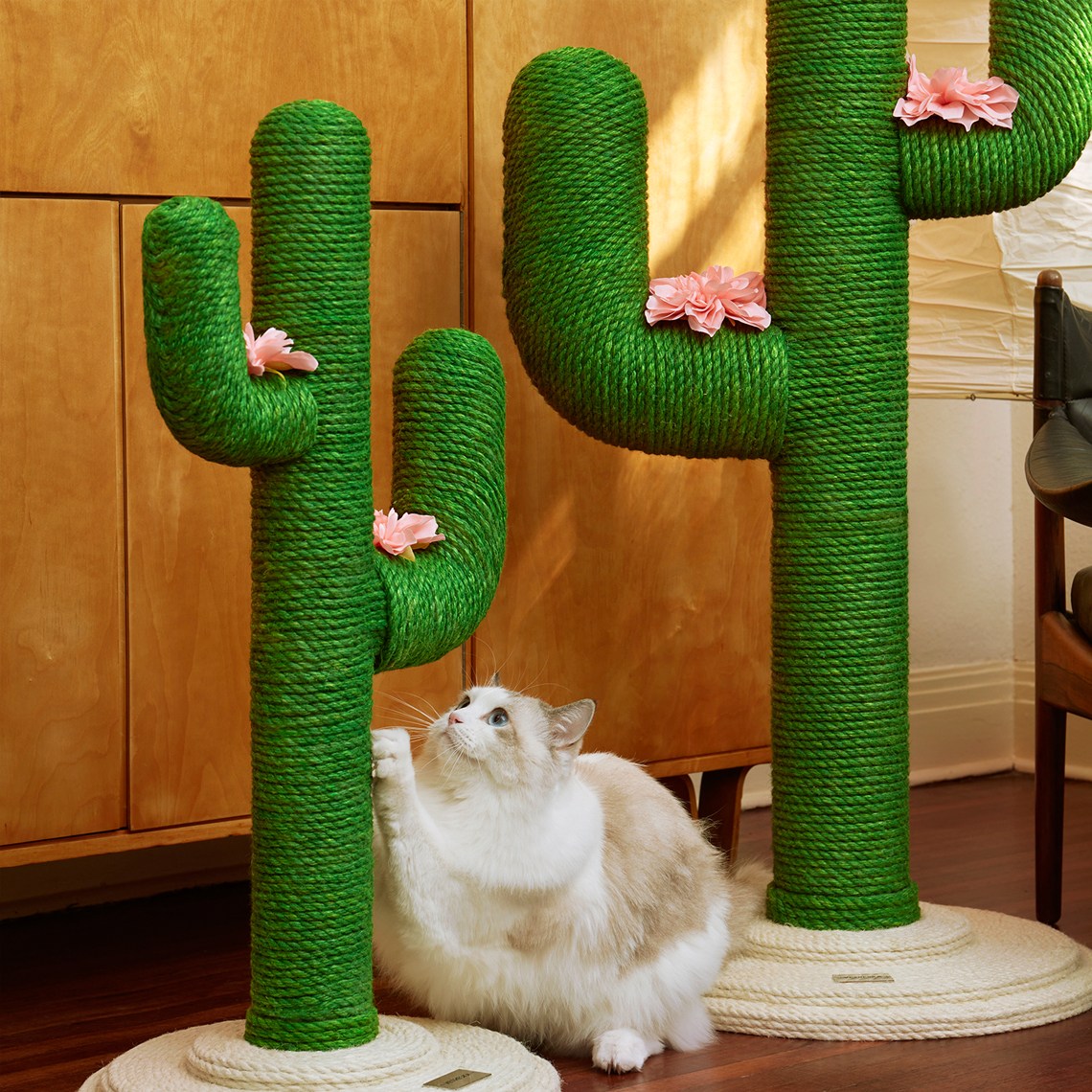 더가치 고양이 선인장 스크래쳐, 1개 121,000원