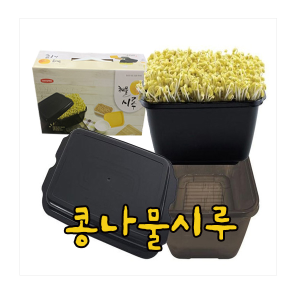 콩나물시루 콩나물콩 500g 15,900원
