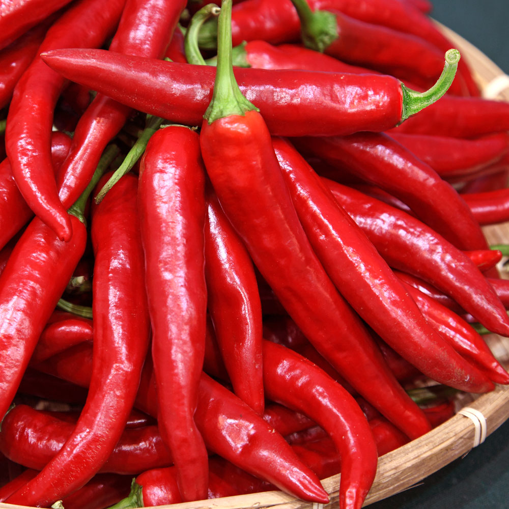 산정마을 국내산 홍고추(특품) 1kg 17,300원