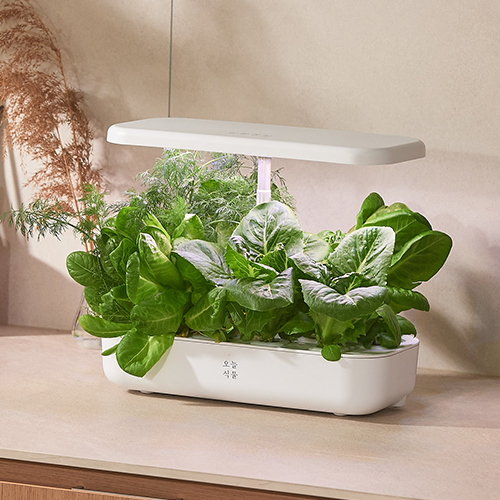 오늘식물 Air 식물재배기 수경재배기 가정용 스마트팜, 1개 139,000원