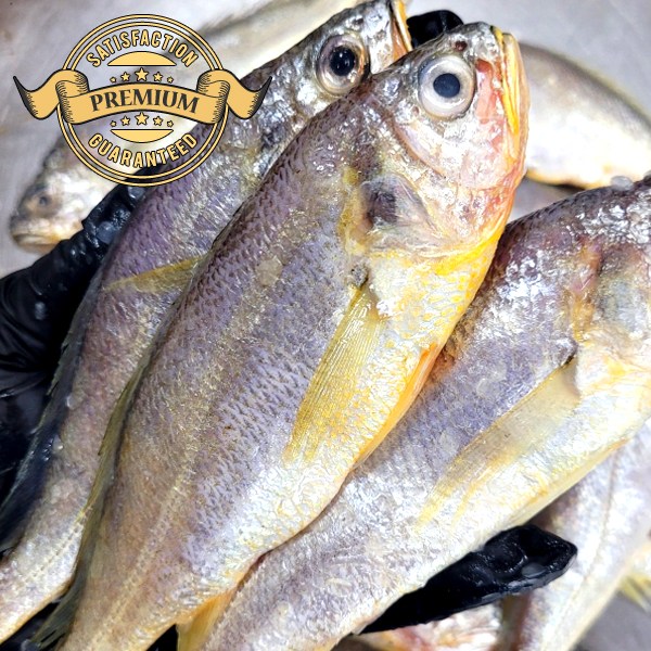 [재구매율이 높은] 국내산 군산 참조기 저렴 가정용 식당용 39,900원