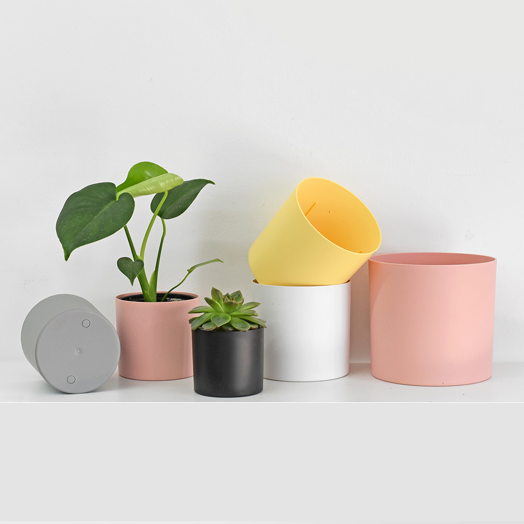 마이플랜트 컬러 포트볼 플라스틱 인테리어 화분 1,000원